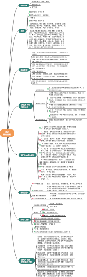 灵芝真伪鉴别