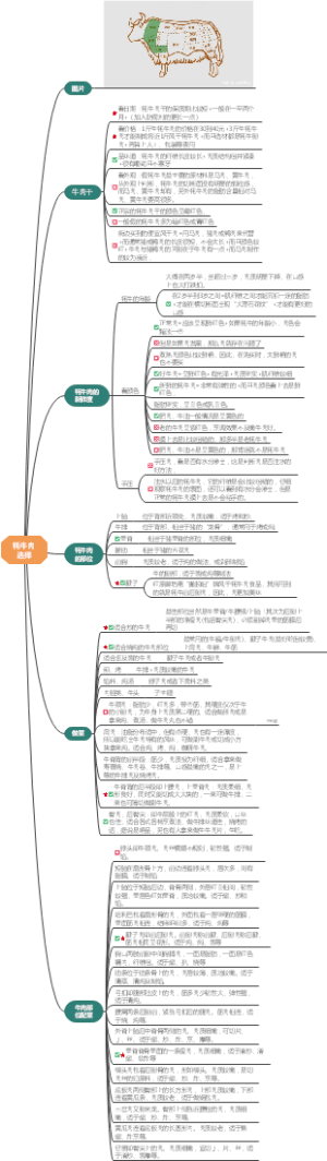 牦牛肉选择加工