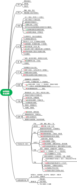 如何挑选冬虫夏草