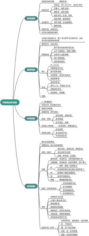 苹果树四季修剪
