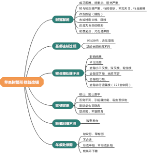 苹果树整形修剪改错