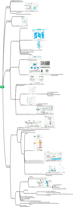 考研生化 核酸（DNA、RNA）