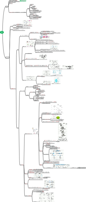 考研生化 RNA的合成--转录