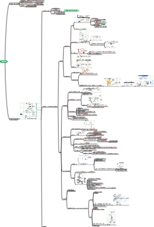 考研生化 基因表达调控
