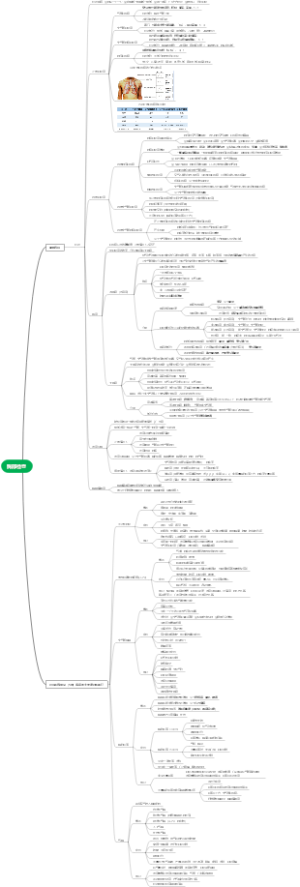 胸部检查-2