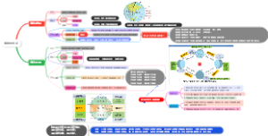 地球的运动（自转和公转）