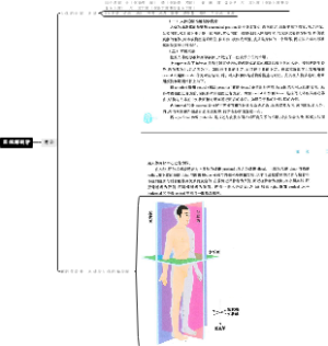 系统解剖学  绪论和运动系统