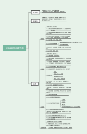 光与组织的相互作用