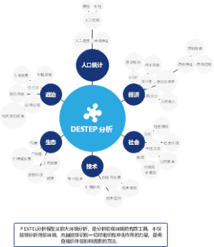 DESTEP分析
