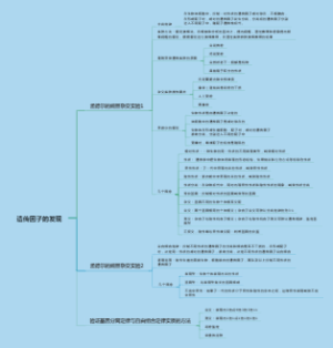 遗传因子的发现