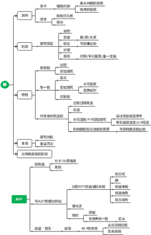 酶和ATP的思维导图
