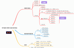 护综308-呼吸系统