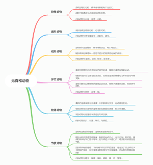 初中生物：无脊椎动物