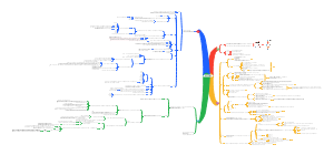 心血管系统解剖学