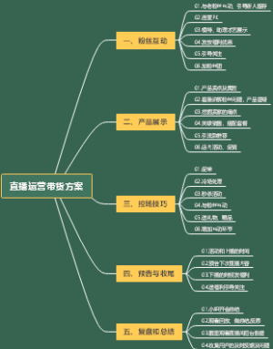 直播运营带货方案