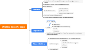 What is a Scientific paper