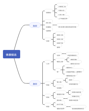 体表标志