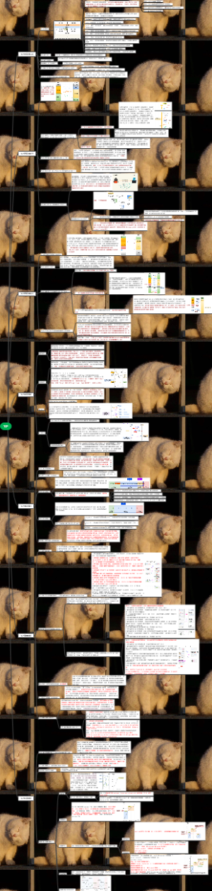 TCP协议详解