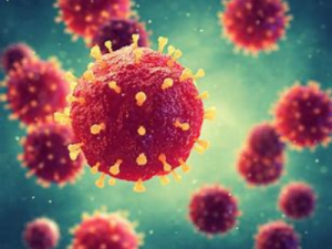 医学微生物学——病毒学