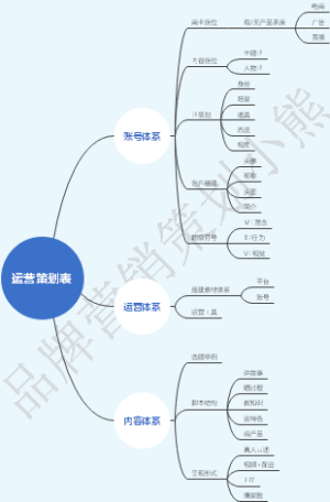 运营策划表