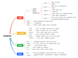 轻医美项目详细清单