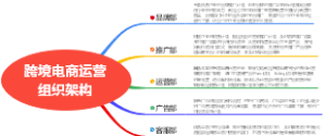 跨境电商运营组织架构