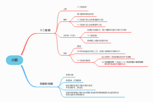 小肠思维导图