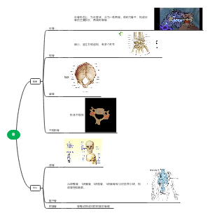 骨