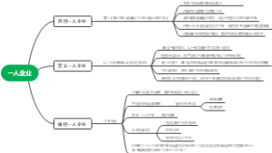 一人企业
