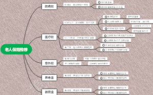 老人保险推荐