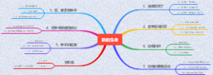 《新的生命》思维导图