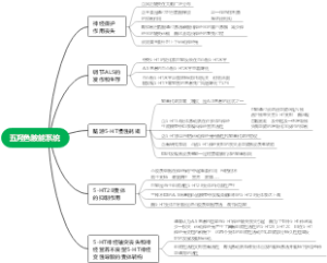 五羟色胺能系统