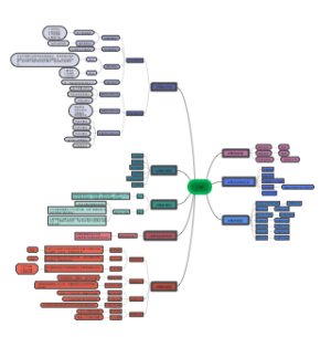 管理学原理：决策