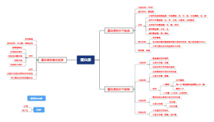 蛋白质