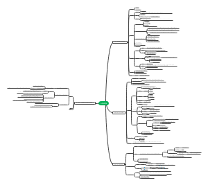 毛泽东思想思维导图