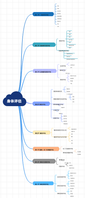 身体评估