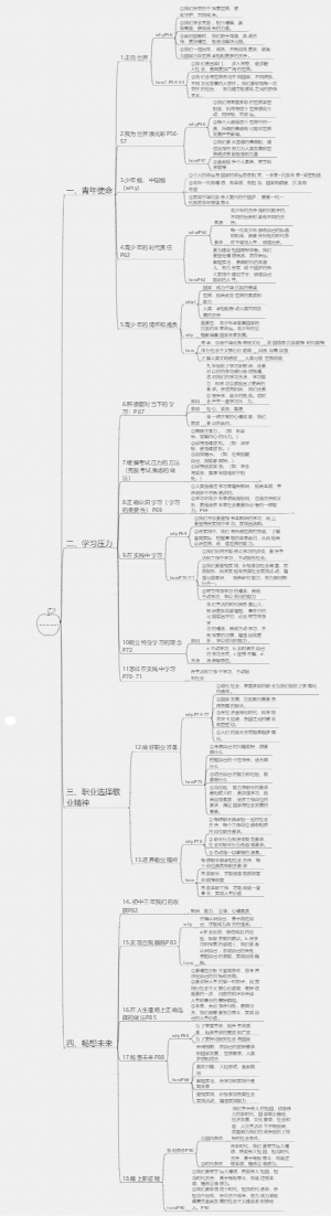 政治九下：走向未来的少年1