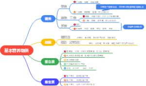 基本营养物质