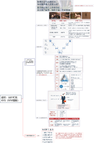 5、进阶：从KYC到KYS（MM整理）