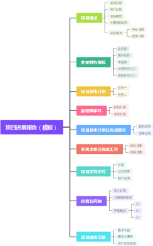 项目进展报表（模板）