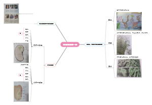 初中生物知识点总结