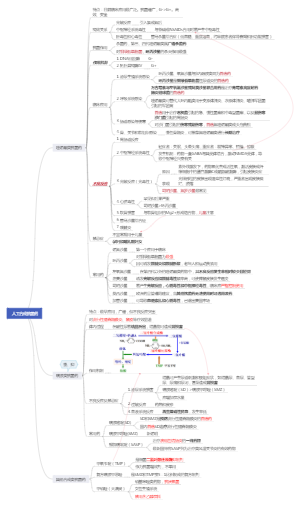 人工合成抗菌药思维导图