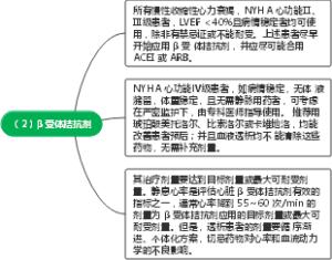 （2）β 受体拮抗剂