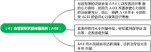 （4）血管紧张素受体阻滞剂（ARB）