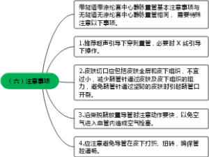 （六）静脉置管注意事项