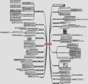 《我是个怪圈》整理笔记