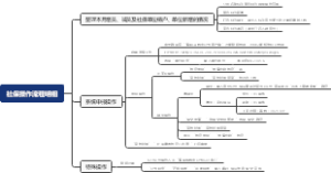社保操作流程明细