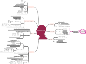 你的生命有什么可能