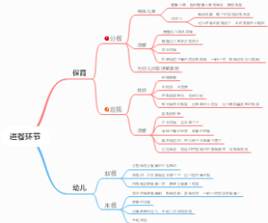 幼儿小班进餐环节
