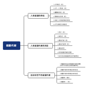 第二章  能量代谢